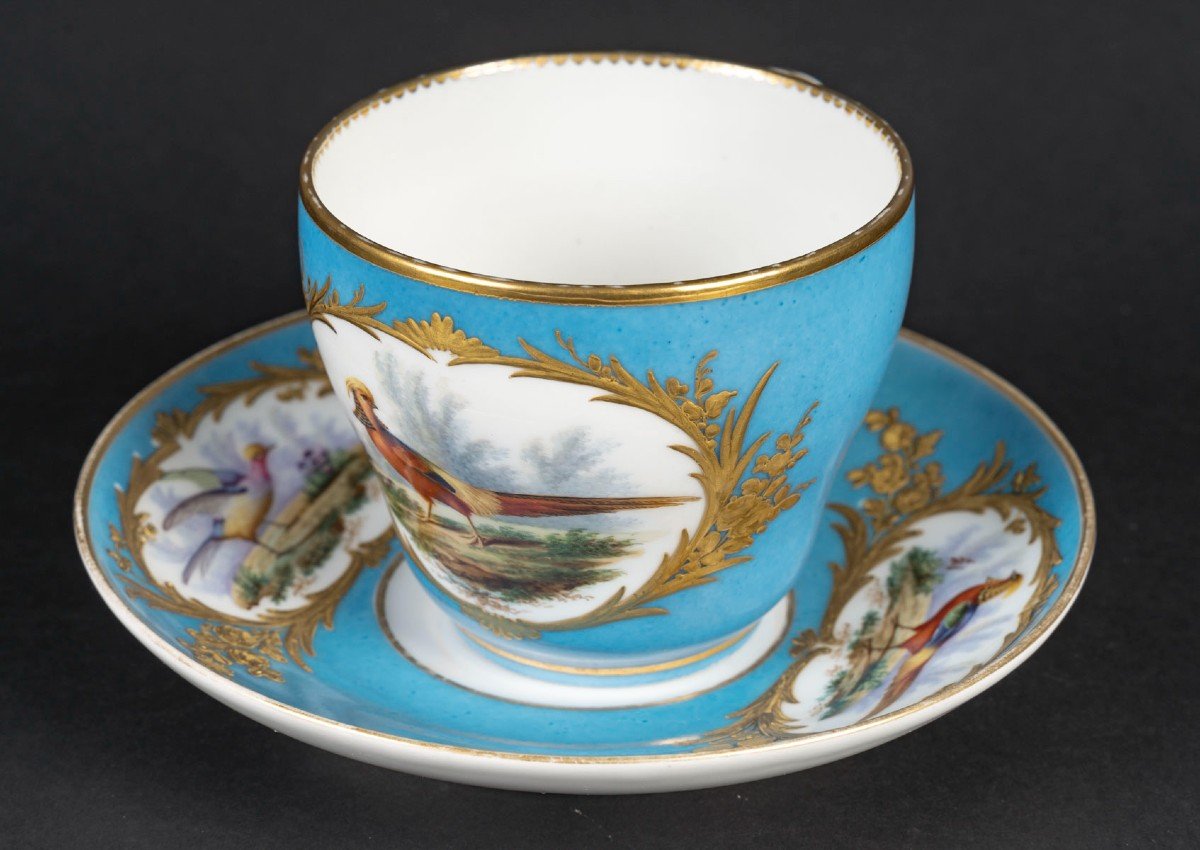 Large Paris "boyer" Cup With Polychrome Birds On A Sky Blue Background (1840),