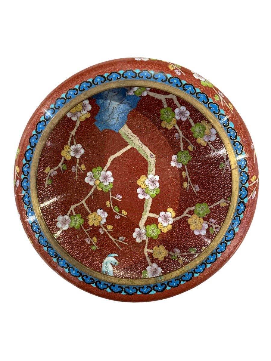 Cloisonne Enamels-photo-2