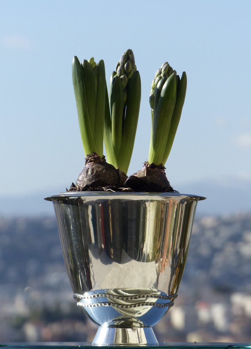 1930 Art Deco Planters Signed R.delavan-photo-5