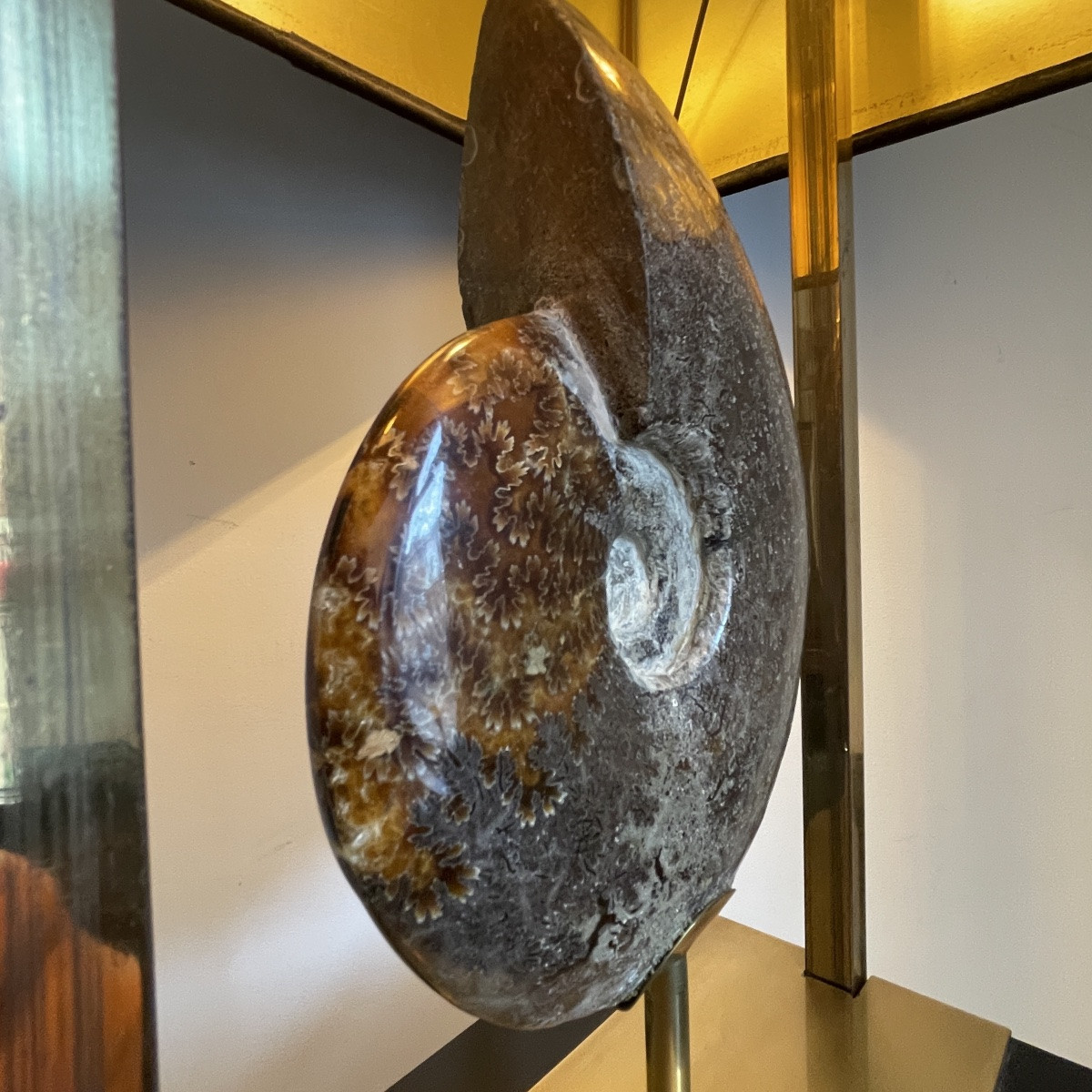 Maison Jansen (attr) 'ammonite' Lamp 102cm, Gilded Brass And Black Lacquered Wood, Hollywood Regency -photo-6