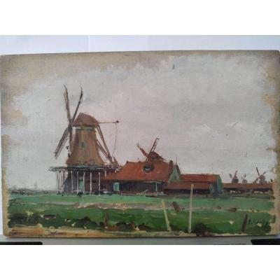 The Dutch Mills