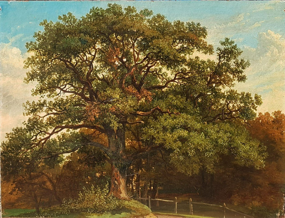 Belgian School 1852 The Large Oak In Virelles