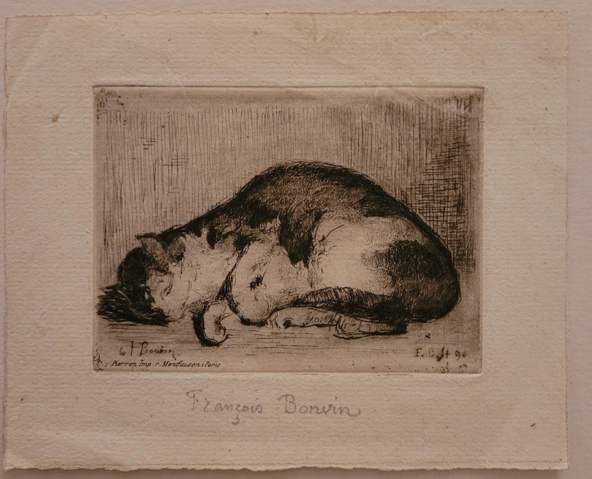  François BONVIN (1817 - 1887) Chat dormant-photo-2