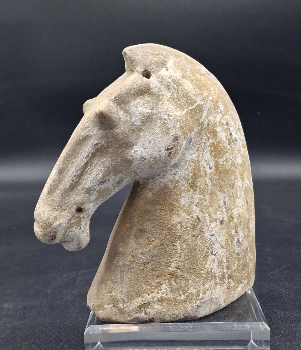 China - White Slip Horse Head - Han Dynasty