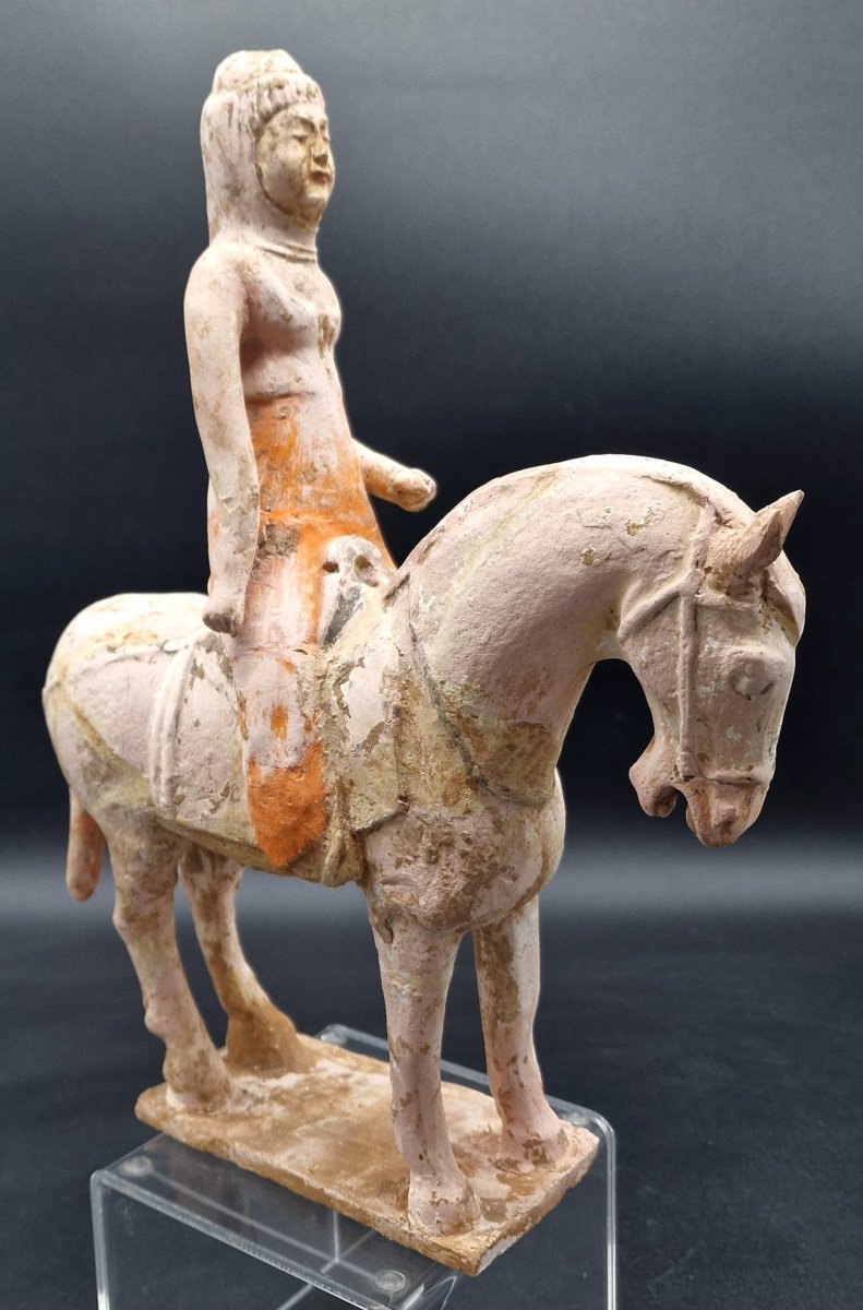 China - Horsewoman - Early Tang Dynasty - Tl-photo-4