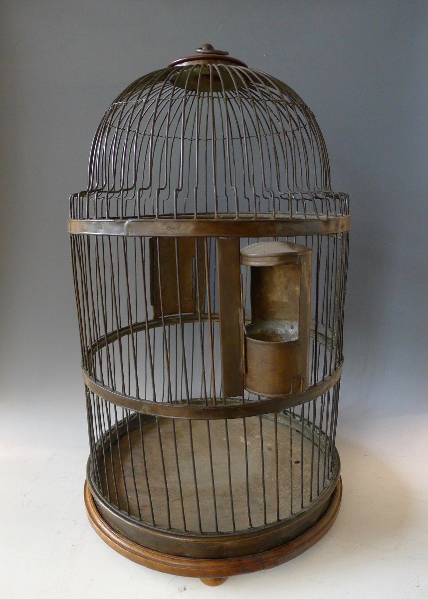 Cage à oiseaux -photo-2