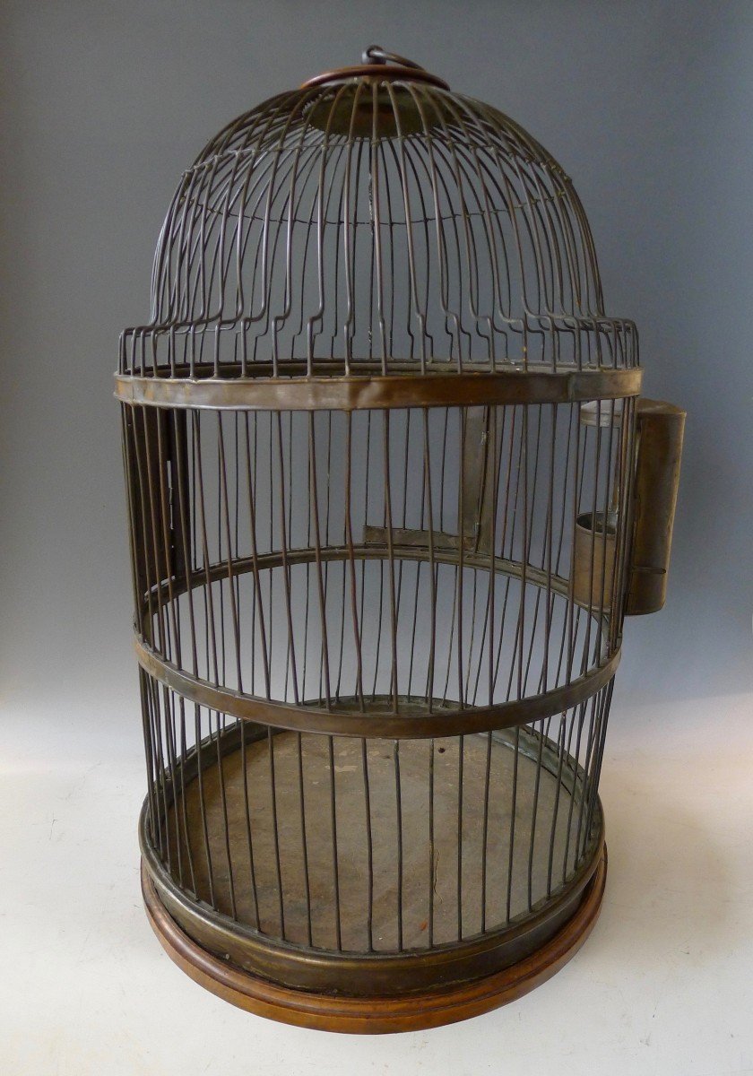 Cage à oiseaux 