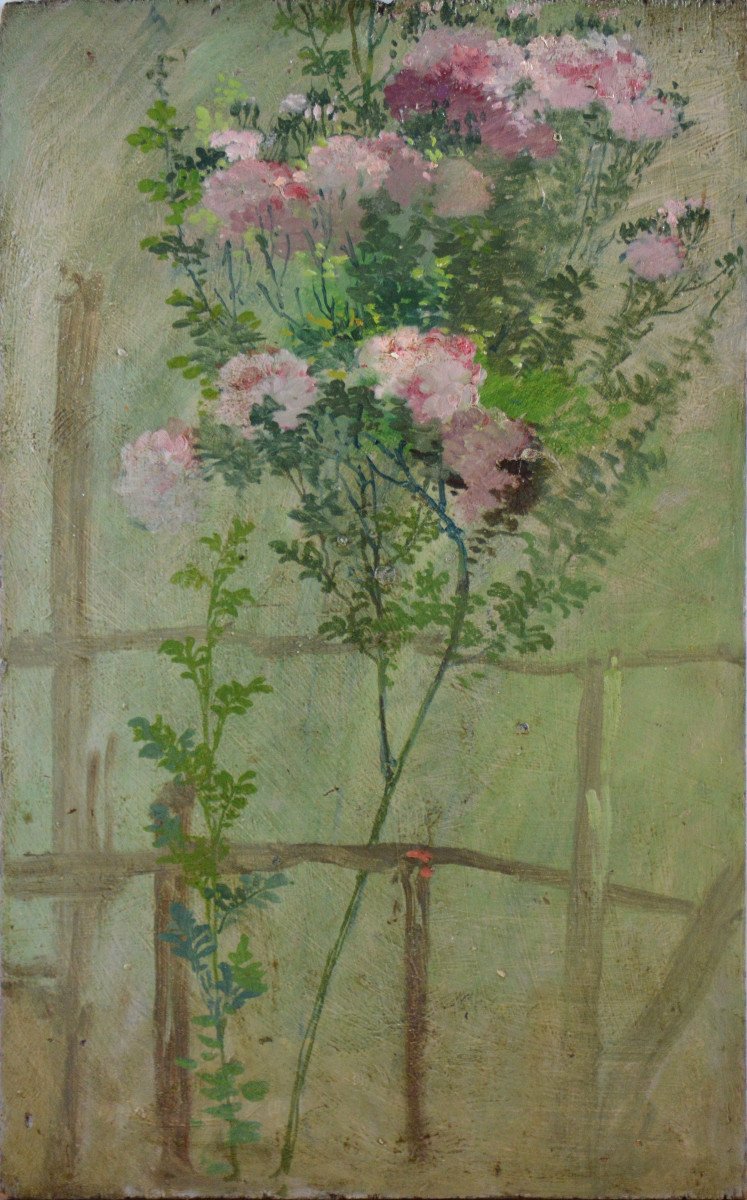 École Française vers 1900.  " Étude de rosier dans un jardin."