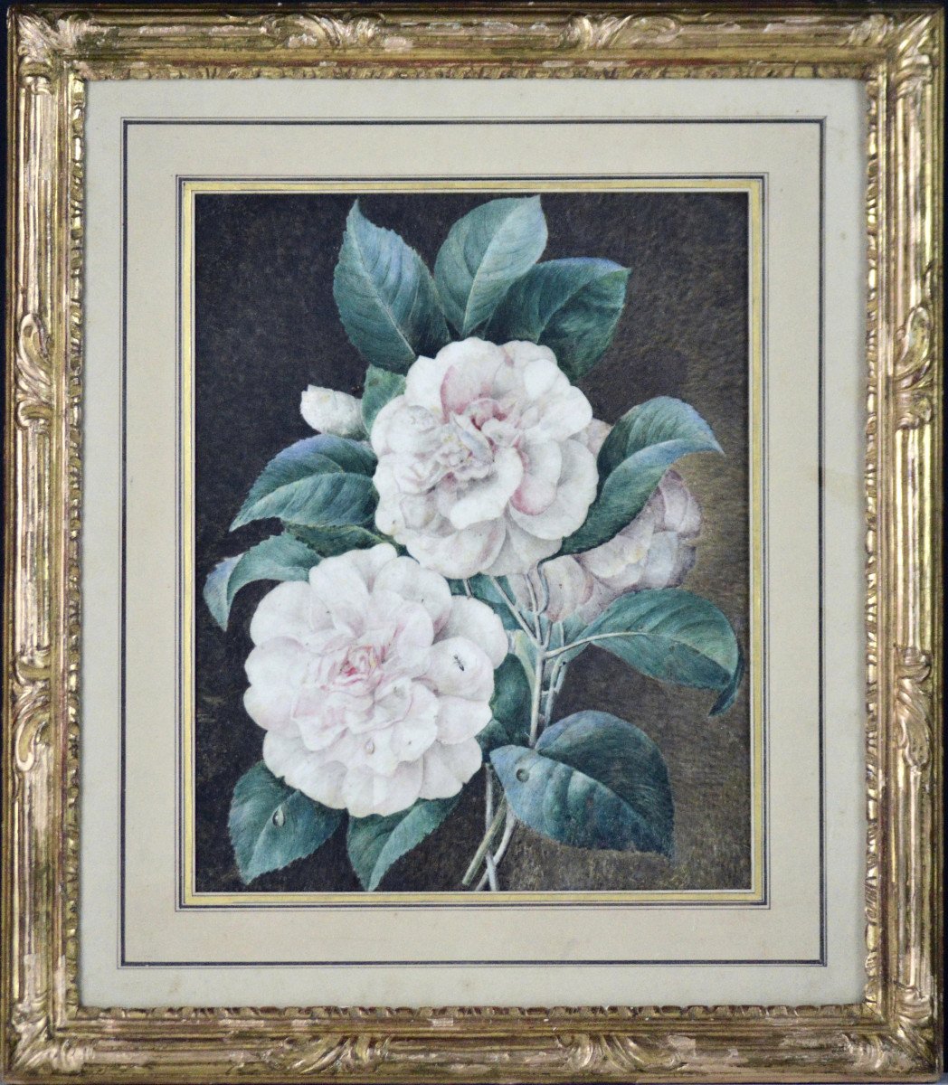 Cv Van Spaendonck 1756-1840. (attributed To.) Dutch School. "roses With Foliage."-photo-2