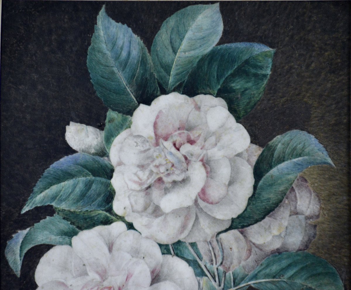 Cv Van Spaendonck 1756-1840. (attributed To.) Dutch School. "roses With Foliage."-photo-4