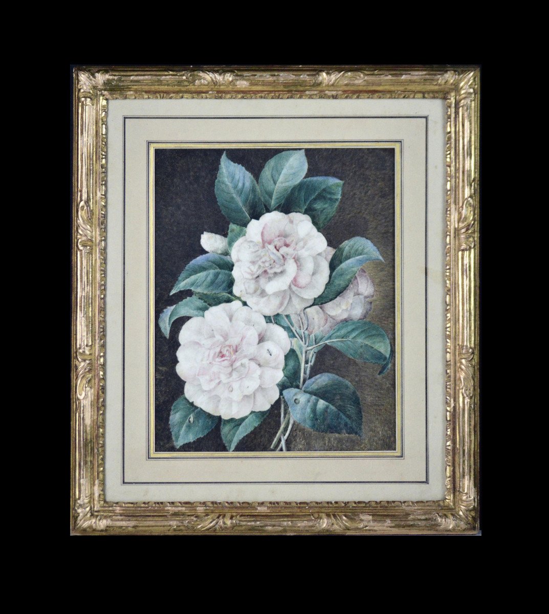 Cv Van Spaendonck 1756-1840. (attributed To.) Dutch School. "roses With Foliage."