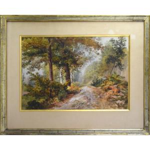 Armand Théophile Cassagne 1823-1907. "Chemin dans la forêt de Fontainebleau."