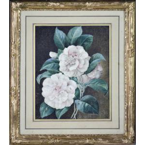 C.V. Van  Spaendonck 1756-1840. Attribué à. "Roses avec feuillage."