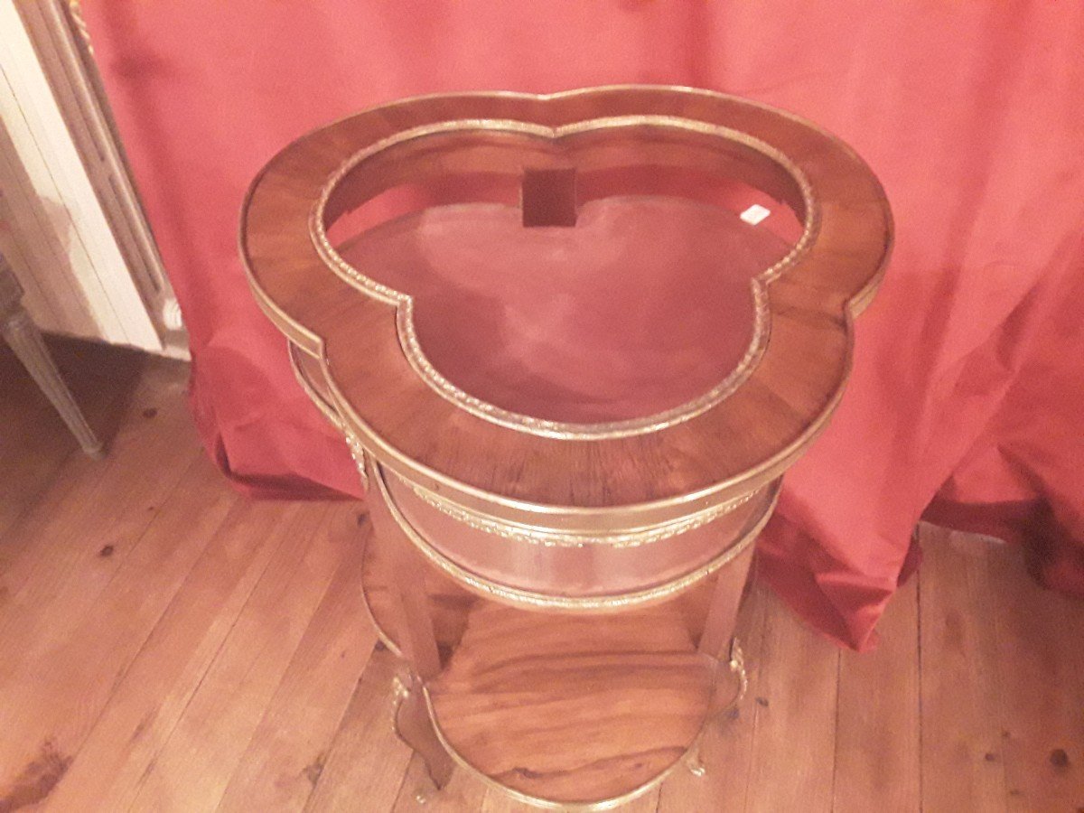 Rare 19th Century Trilobed Display Table By Sormani, Linke Krieger....-photo-3