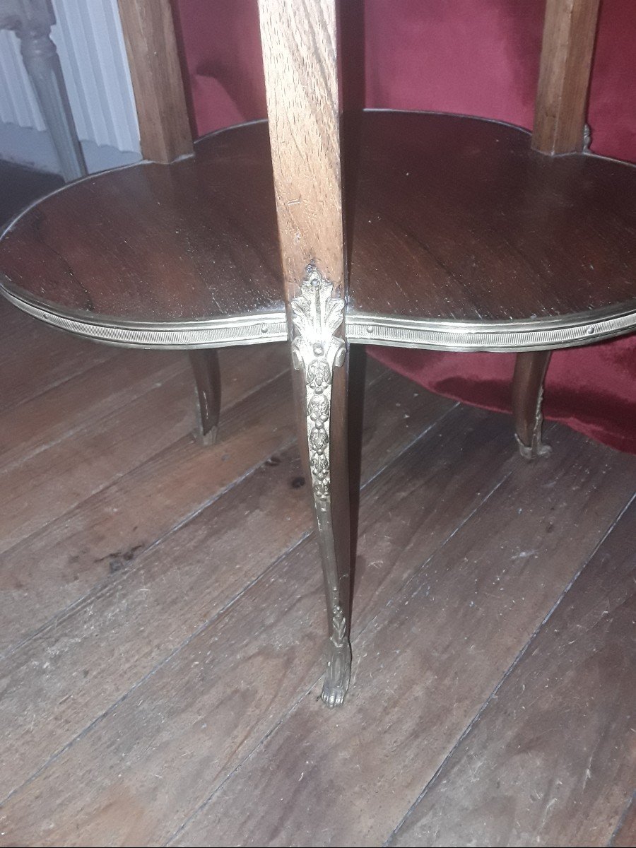 Rare 19th Century Trilobed Display Table By Sormani, Linke Krieger....-photo-2