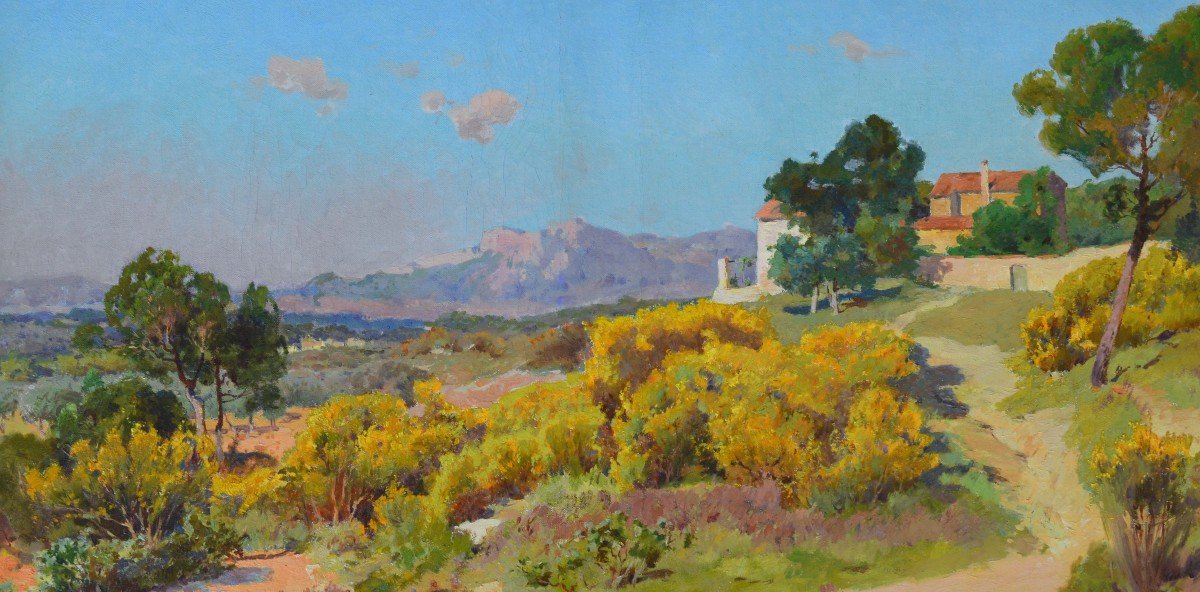 Decanis Théophile (1847-1917) "blossoming Broom In Provence" Marseille Aix Berre Décanis France-photo-2