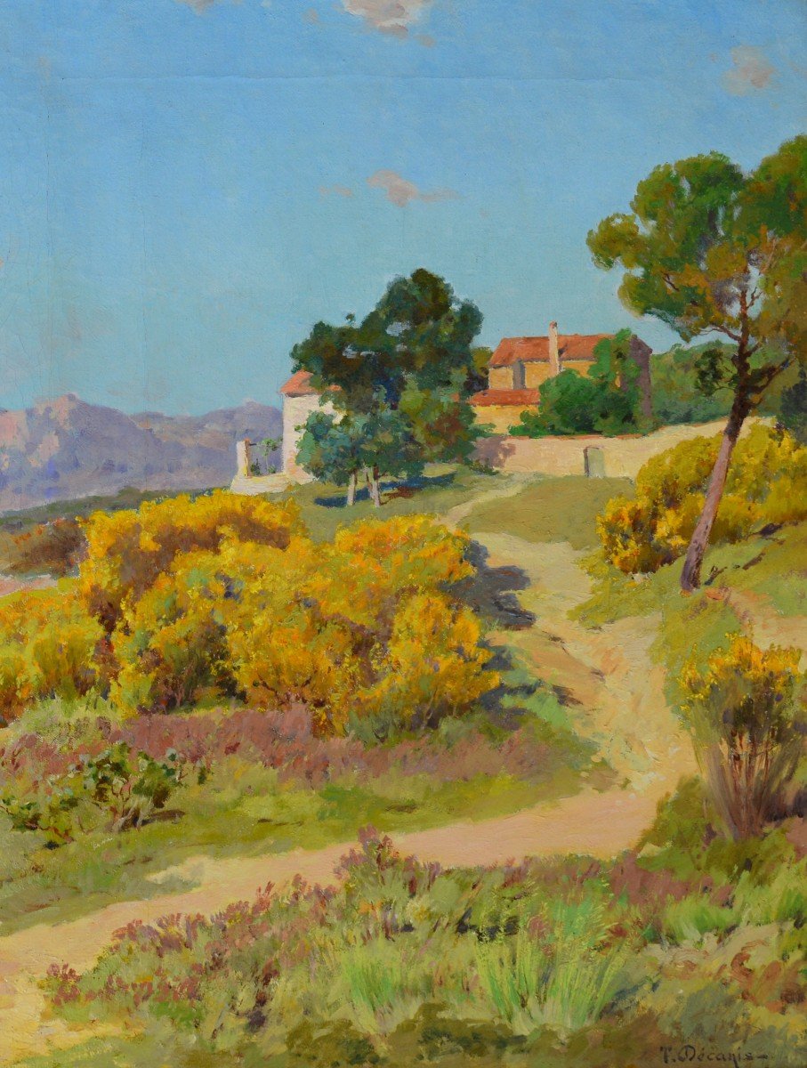 Decanis Théophile (1847-1917) "blossoming Broom In Provence" Marseille Aix Berre Décanis France-photo-4