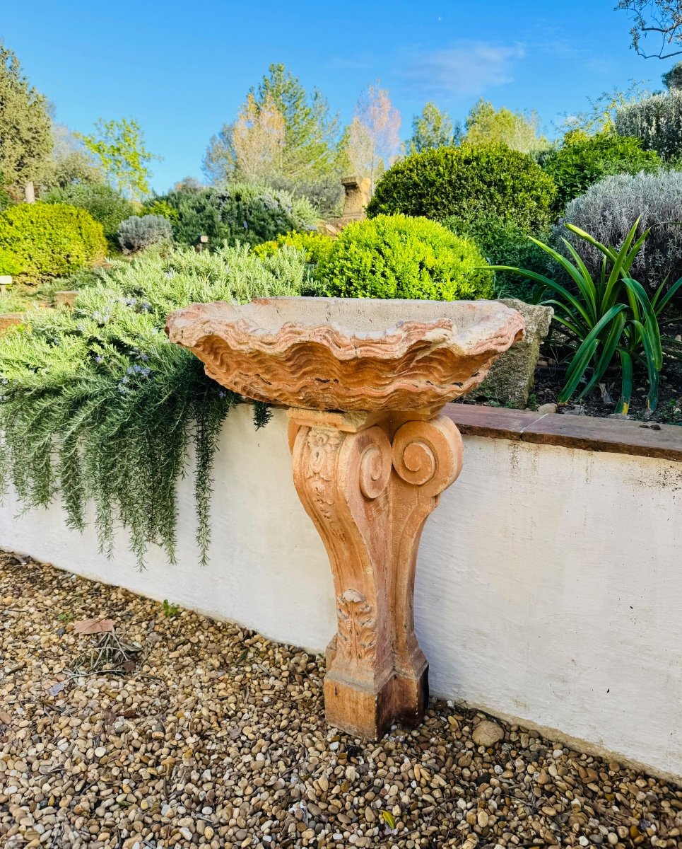 Fountain Or Fountain In Stone In The Shape Of A Shell Marseille Provence France