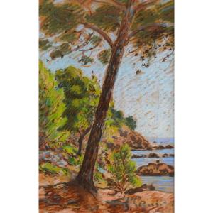 PEGURIER Auguste (1856-1936) « Pins au Pinet, Saint-Tropez » Provence Var Ramatuelle Paris Sud