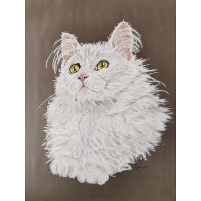 Portrait de chat par Seignolle