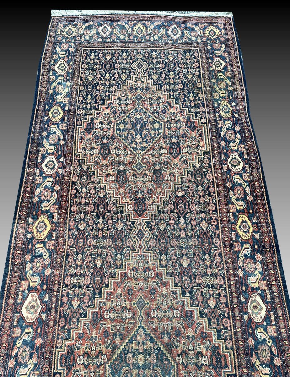 Large Oriental Rug Senneh Iran Kurdish Tribes: 6.40 X 1.00 Meters -photo-8