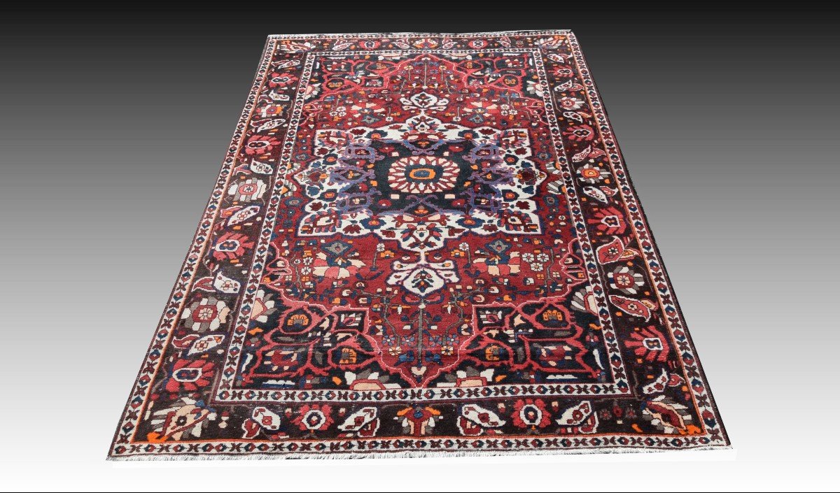 Tapis d'Orient Persan Iran Bakthiar -fait Main  : 3.10 X 2.00 Mètres-photo-2