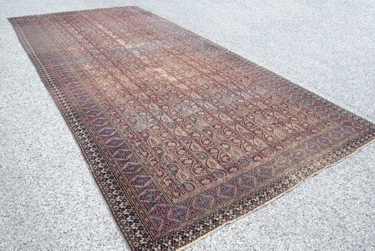 Grand Tapis d'Orient,  Ancien Meshed Khorassan Iran : 4.90 X 2.30 Mètres-photo-2