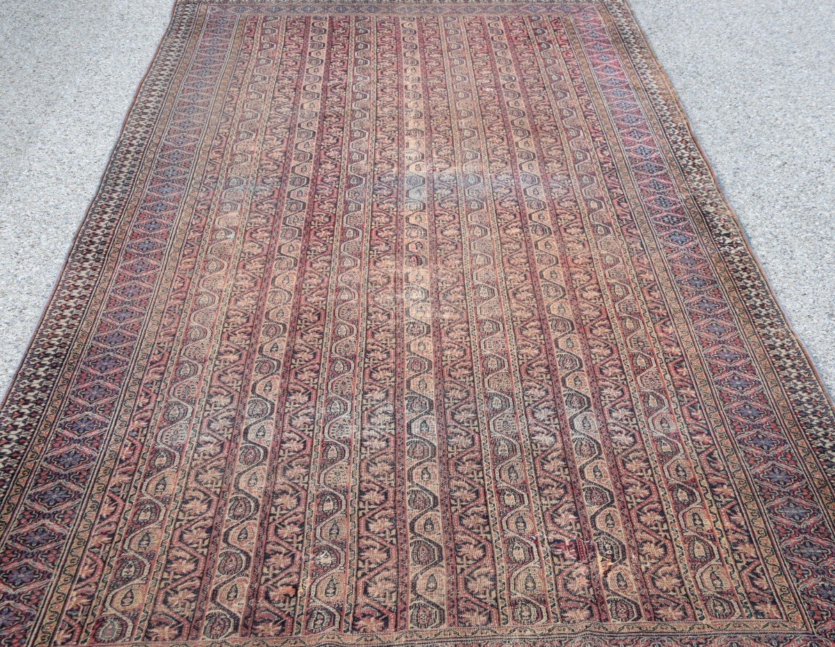 Grand Tapis d'Orient,  Ancien Meshed Khorassan Iran : 4.90 X 2.30 Mètres-photo-4