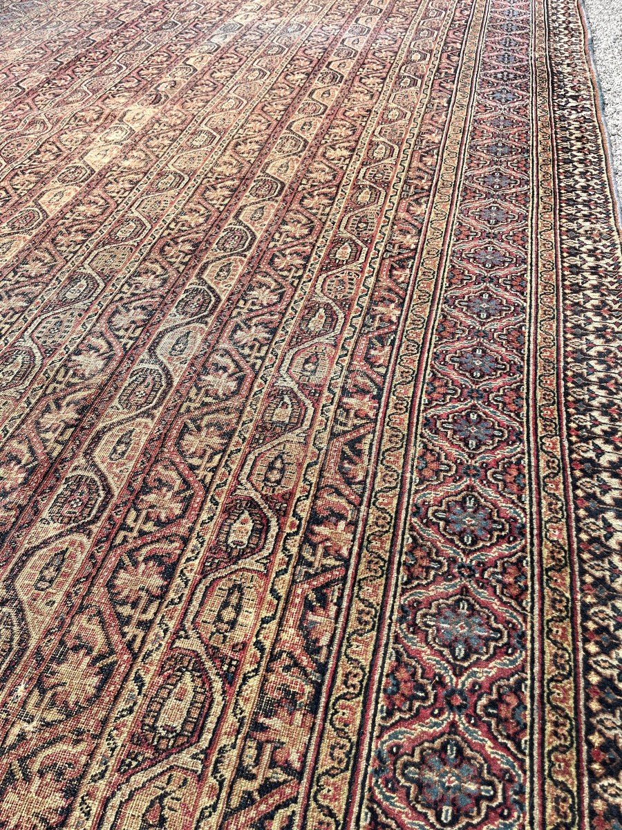 Grand Tapis d'Orient,  Ancien Meshed Khorassan Iran : 4.90 X 2.30 Mètres-photo-5