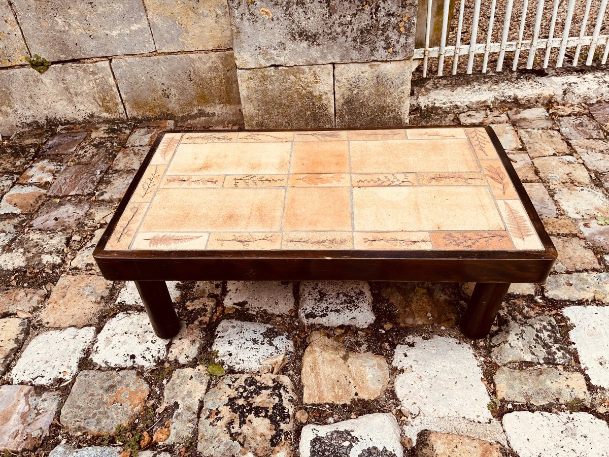 Capron Coffee Table Herbarium Model 