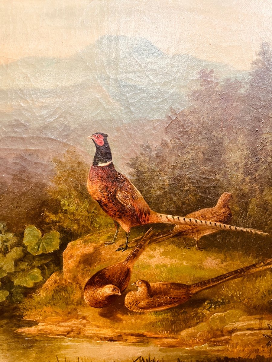 Oil On Canvas Pheasant And Its Court-photo-1