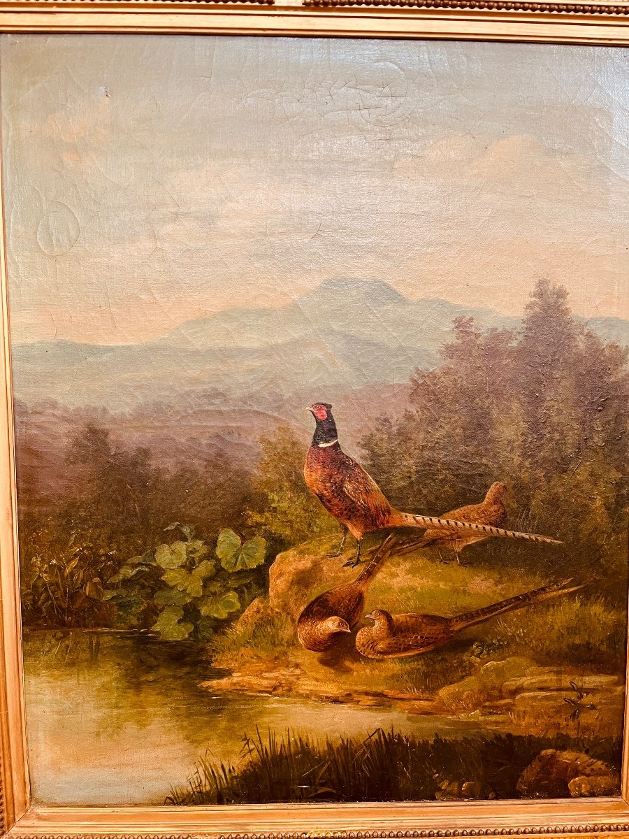 Oil On Canvas Pheasant And Its Court-photo-5