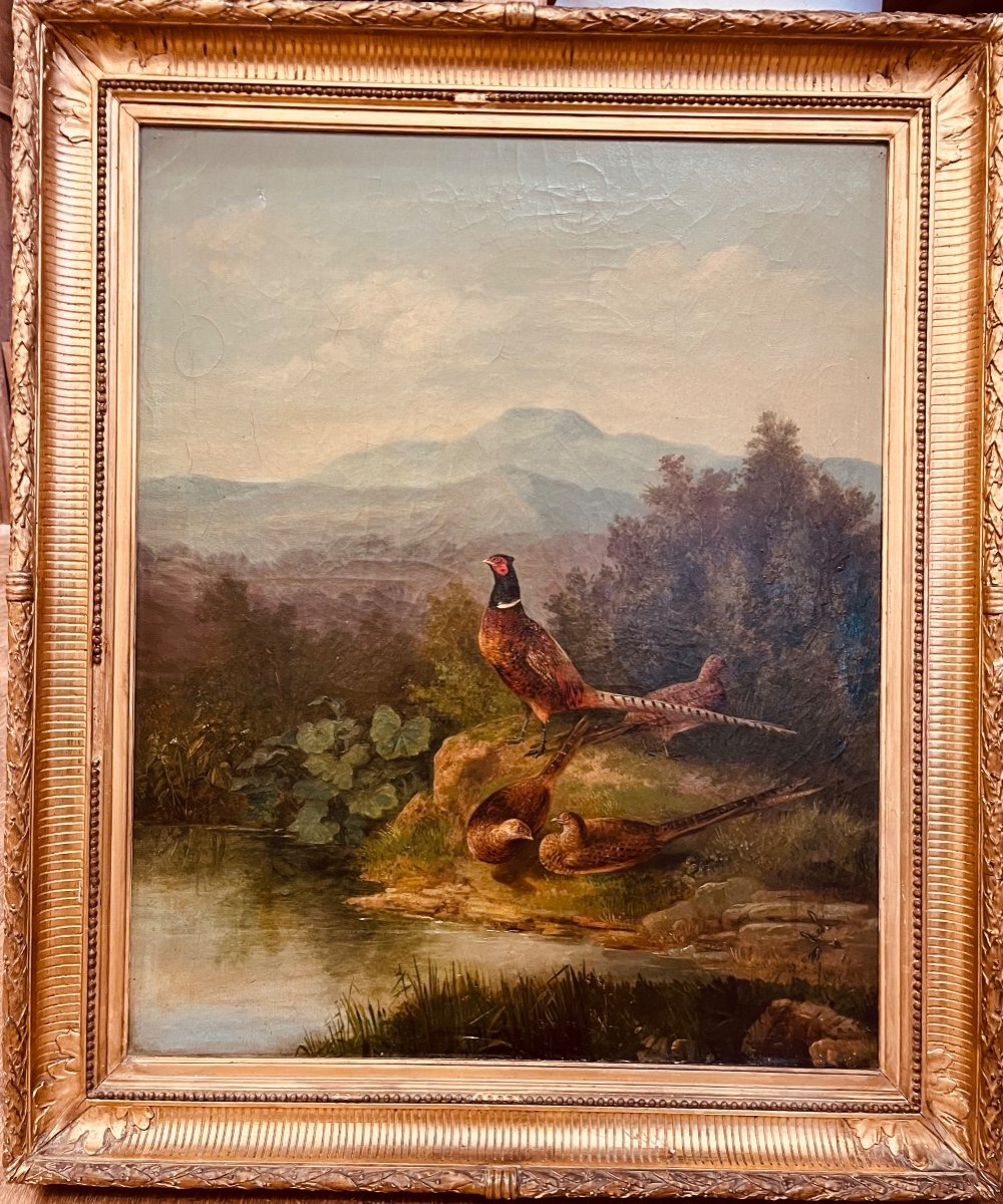 Oil On Canvas Pheasant And Its Court