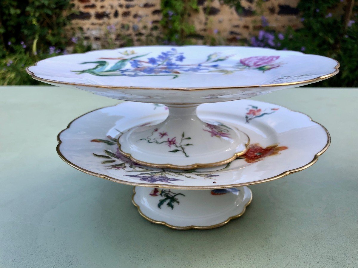 19th Century Porcelain Dessert Service Decorated With Flowers And Insects-photo-3