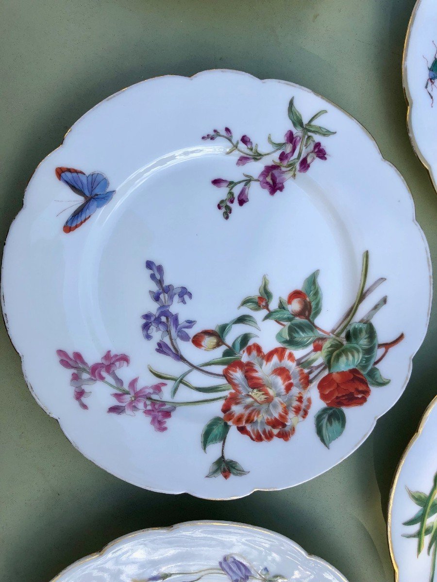 19th Century Porcelain Dessert Service Decorated With Flowers And Insects-photo-2