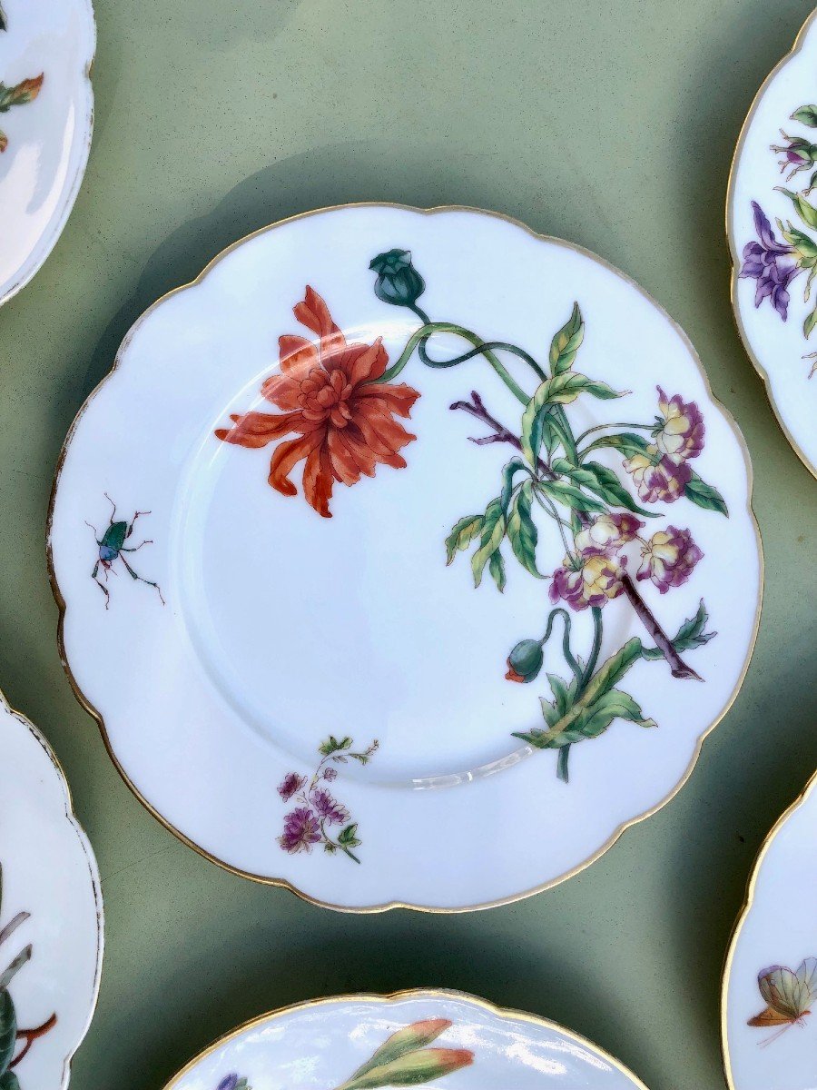 19th Century Porcelain Dessert Service Decorated With Flowers And Insects-photo-3