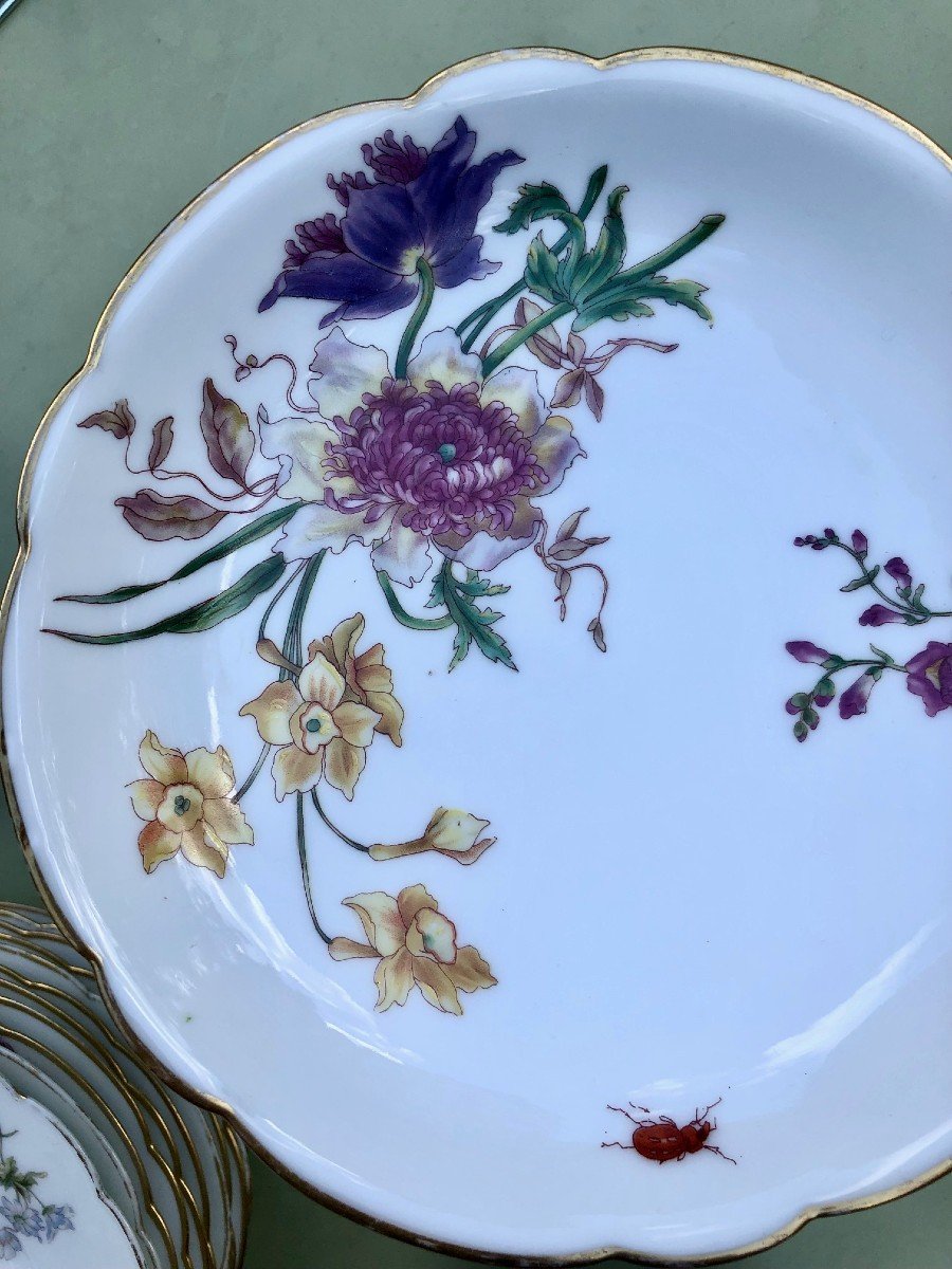 19th Century Porcelain Dessert Service Decorated With Flowers And Insects-photo-5