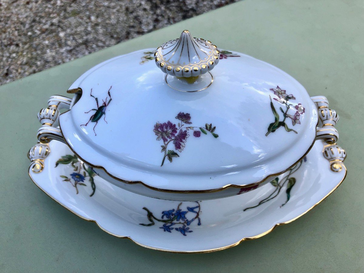 19th Century Porcelain Dessert Service Decorated With Flowers And Insects-photo-6