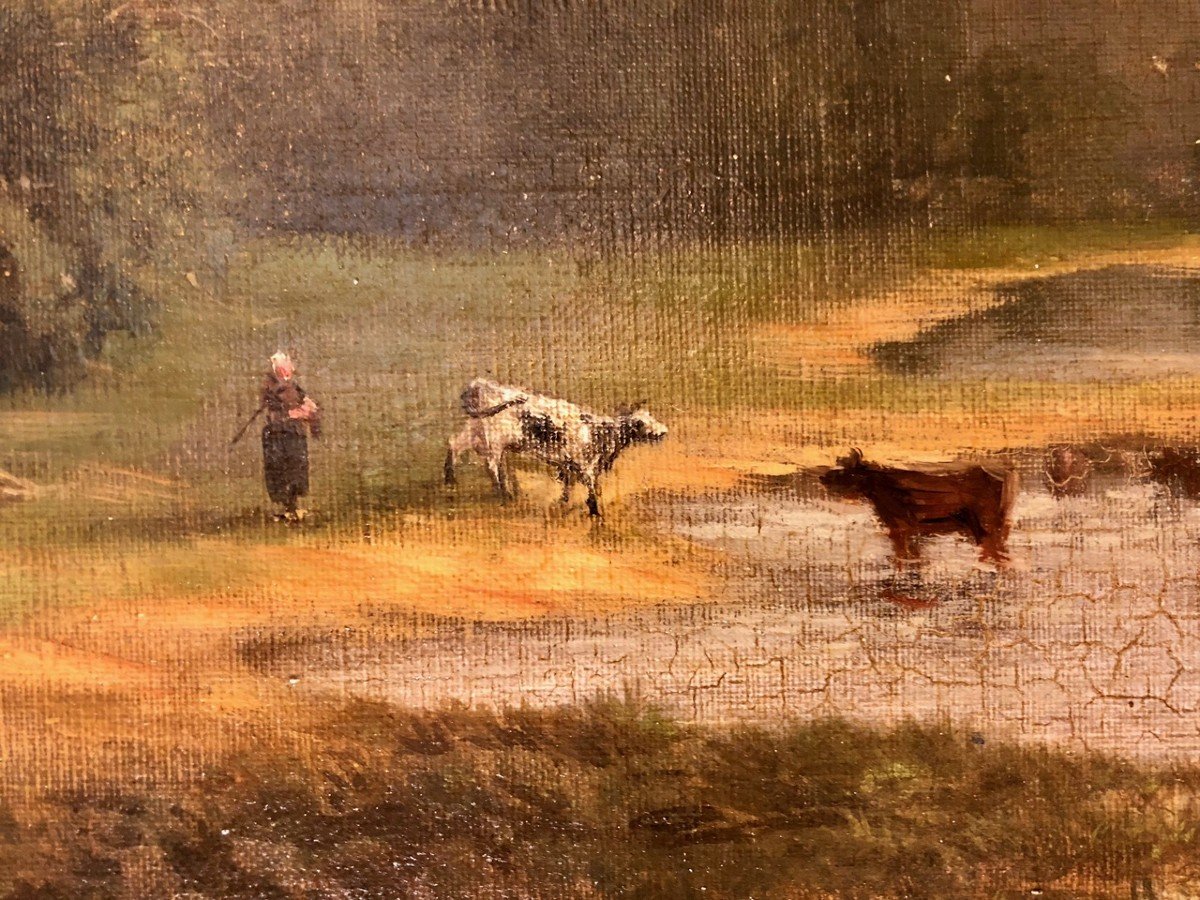 Vaches à La Rivière, Huile Sur Panneau XIXe René Stevens (1858-1937)-photo-3