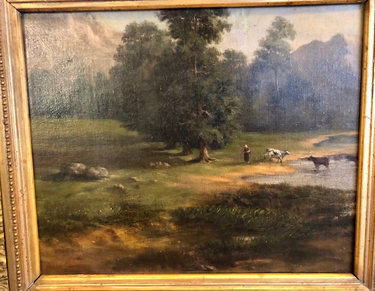 Vaches à La Rivière, Huile Sur Panneau XIXe René Stevens (1858-1937)-photo-4