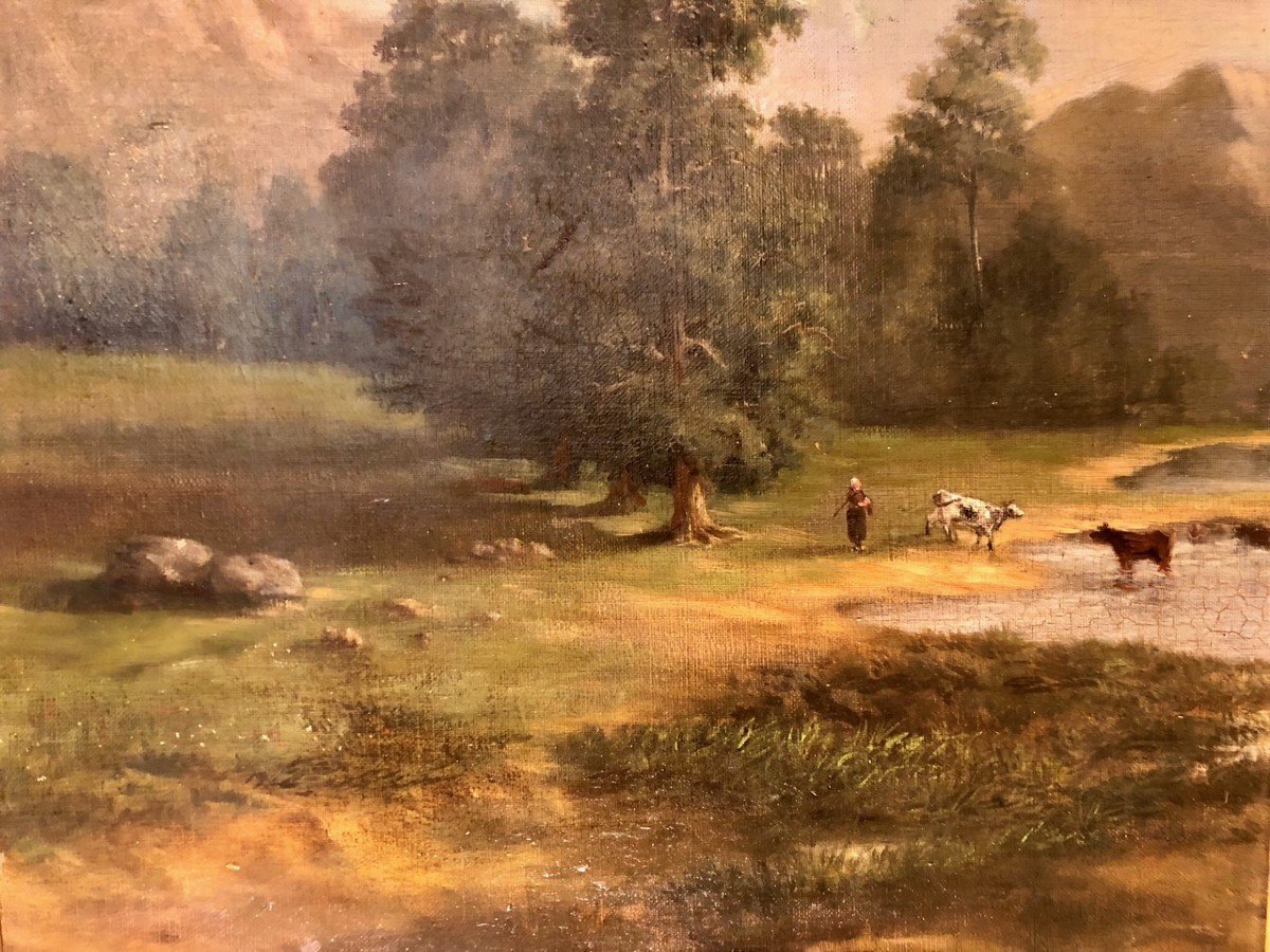 Vaches à La Rivière, Huile Sur Panneau XIXe René Stevens (1858-1937)-photo-2