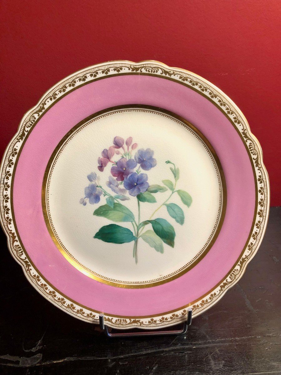 19th Century Paris Porcelain: 7 Plates And A Cup, Flower Decor -photo-5