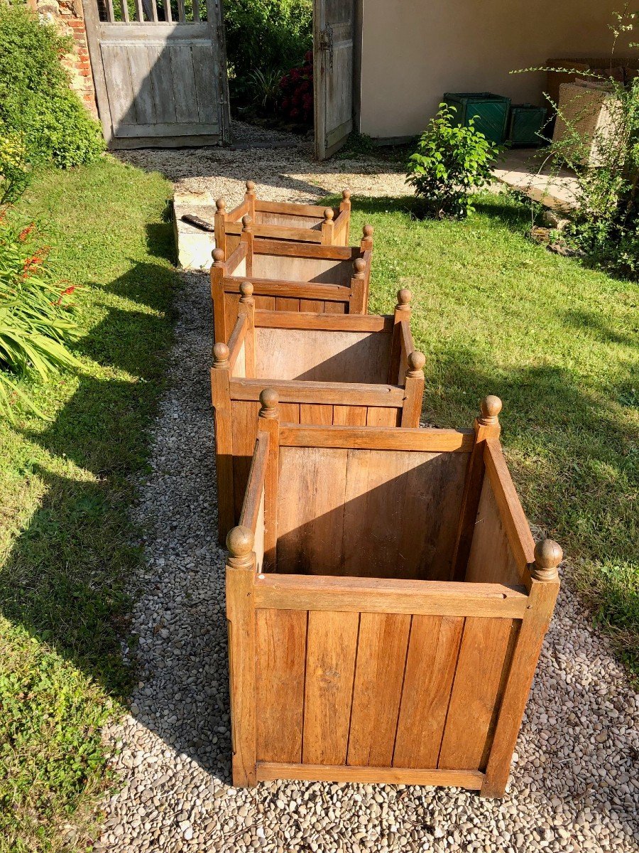 Caisses à Oranger En Teck 65x55x55 Marque Lindsey Teak (uk) -photo-4