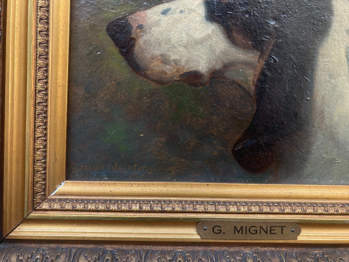 Georges Mignet (1864-1935). Portrait De Chien - Gascon Saintongeois, 1923. Huile Sur Carton.-photo-1