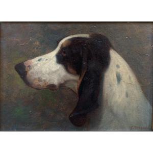Georges Mignet (1864-1935). Portrait Of A Dog - Gascon Saintongeois, 1923. Oil On Cardboard.