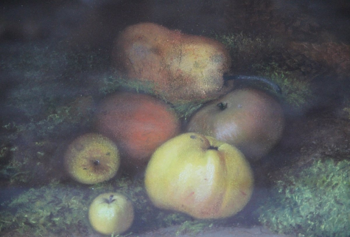 Fruits By Charles Perret (1826-1911)-photo-4