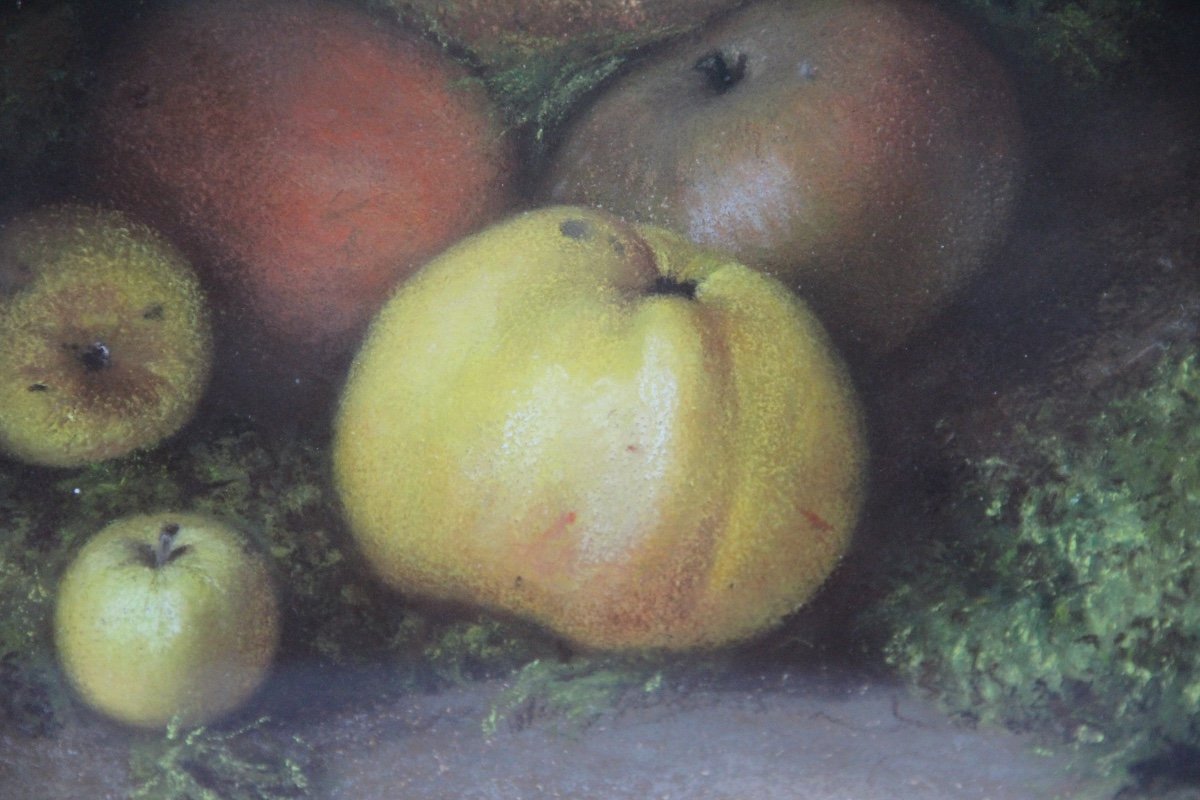 Fruits By Charles Perret (1826-1911)-photo-1