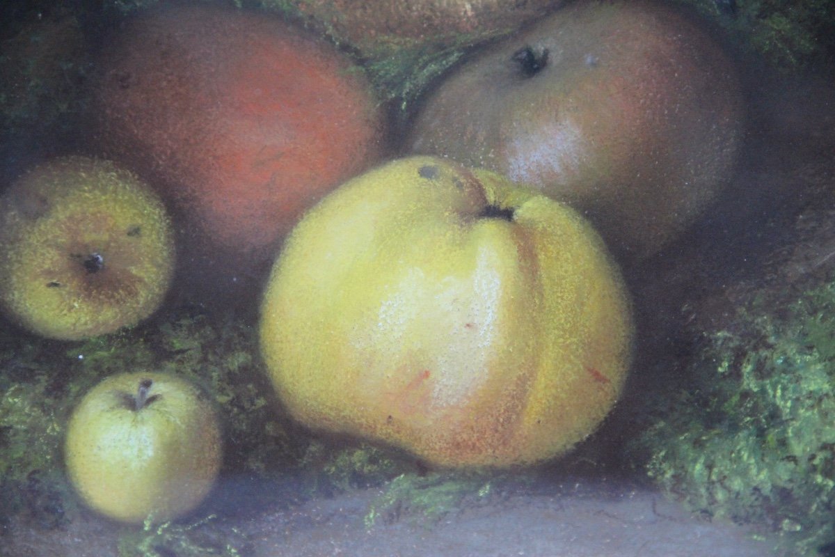 Fruits By Charles Perret (1826-1911)-photo-2