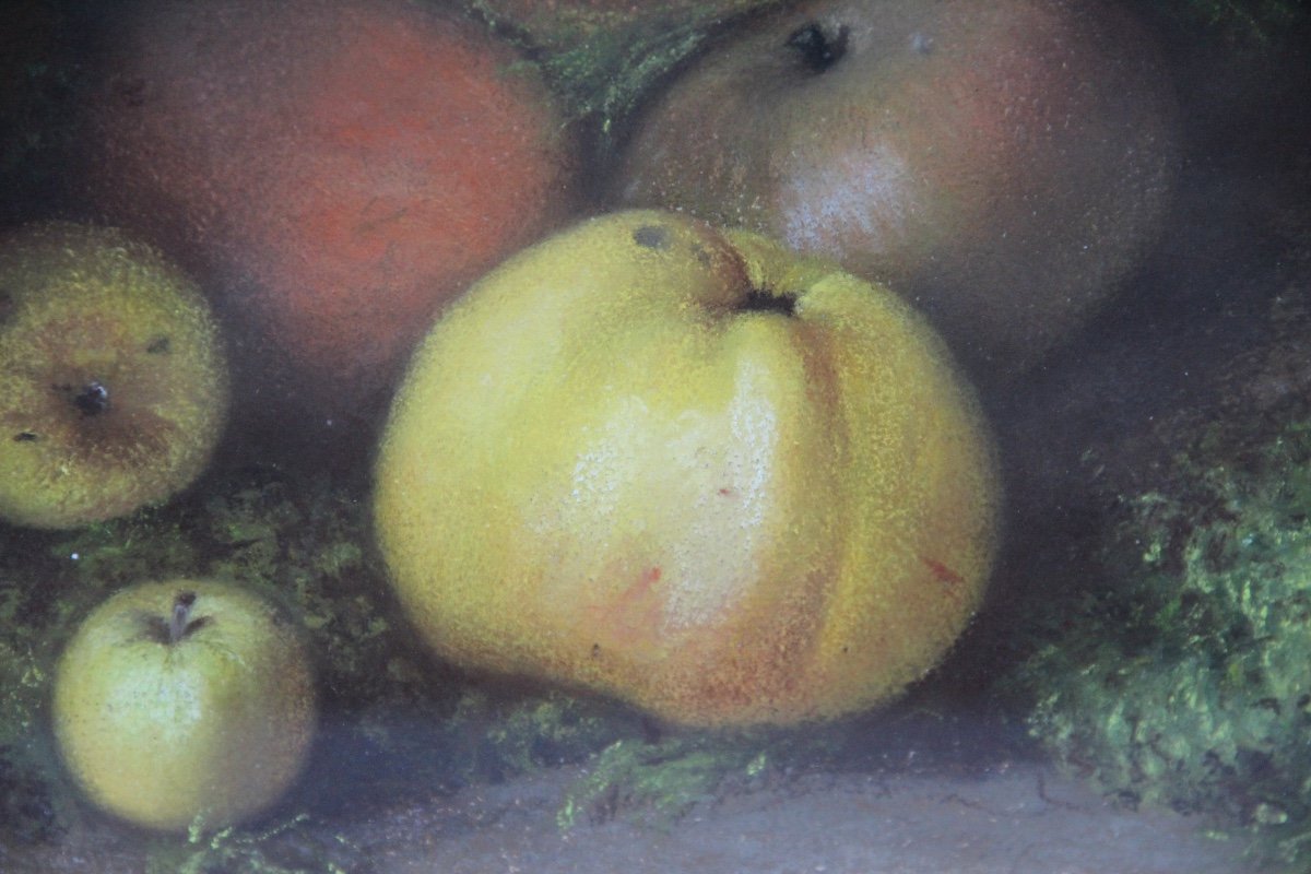 Fruits By Charles Perret (1826-1911)