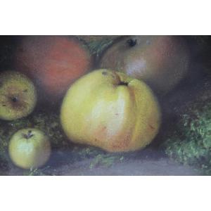 Les FRUITS par Charles PERRET (1826-1911)